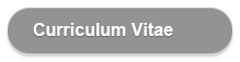 Curriculum Vitae PDF